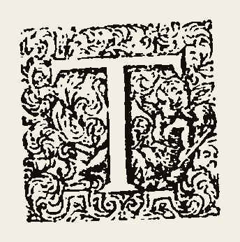 Ornament 1077
