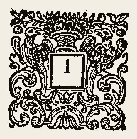 Ornament 1114