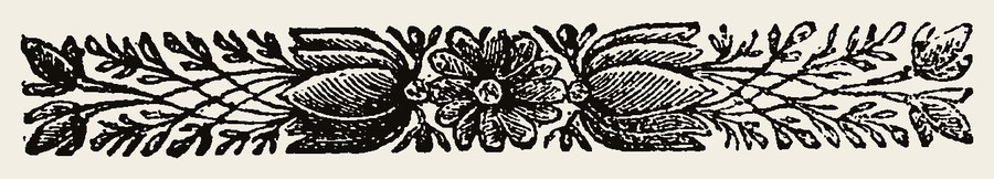 Border 2279