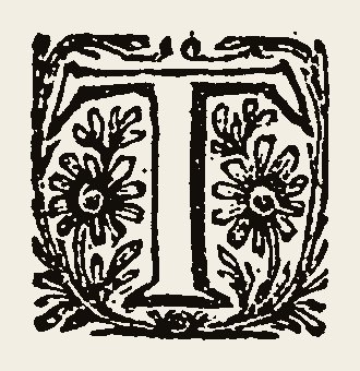 Ornament 1130