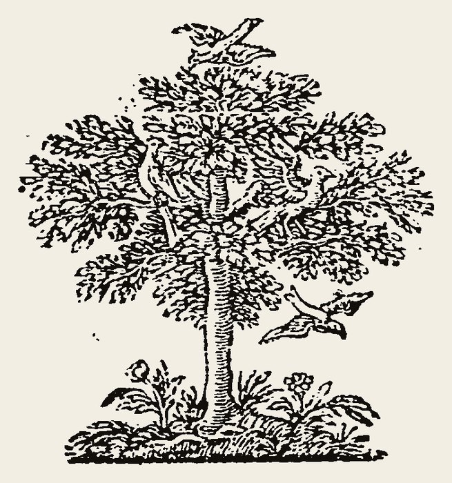 Ornament 1135