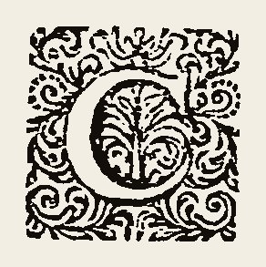 Ornament 1140