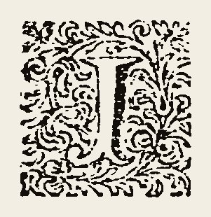 Ornament 1142
