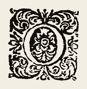 Ornament 1144