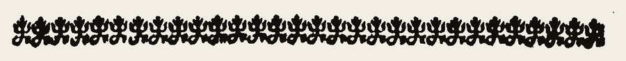Border 2392